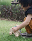 PUSH ALONG - BUNNY