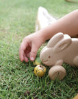 PUSH ALONG - BUNNY