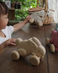 PUSH ALONG - BUNNY