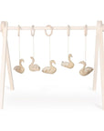 ACTIVITY TOY SET (5 stk) - zwaan