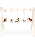 ACTIVITY TOY SET (5 stk) - dogs