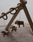 ACTIVITY TOY SET (5 stk) - dogs