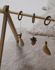 ACTIVITY TOY SET (5 stk) - fruit