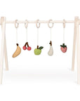 ACTIVITY TOY SET (5 stk) - fruit