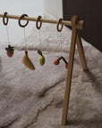 ACTIVITY TOY SET (5 stk) - fruit