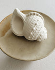 BIJTSPEELTJE SCHELP