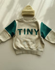 Tiny Color Block Sweatshirt - green