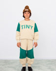 Tiny Color Block Sweatshirt - green