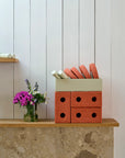 3-IN-1 BABY WALKER - Bunt Orange