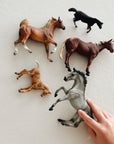 HORSES GIFT SET - set van 5