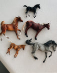 HORSES GIFT SET - set van 5