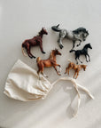 HORSES GIFT SET - set van 5
