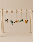 ACTIVITY TOY SET (5 stk) - vogels