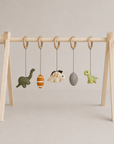 ACTIVITY TOY SET (5 stk) - DINO'S