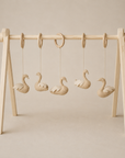 ACTIVITY TOY SET (5 stk) - zwaan