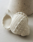 BIJTSPEELTJE SCHELP