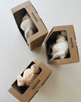 HUMMING BUNNY - licht + geluid - POLAR NATUR