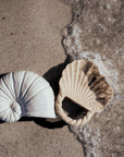 BATHSET - Nautilus & Shell