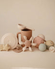 BATH TOY - WATER WHEEL
