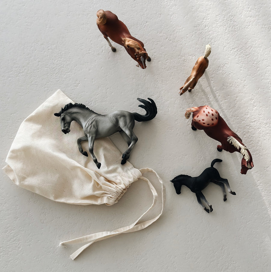 HORSES GIFT SET - set van 5