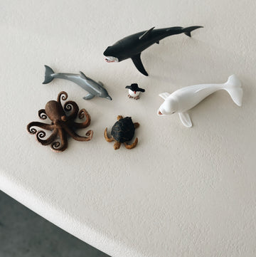 SEA LIFE GIFT SET - set van 6