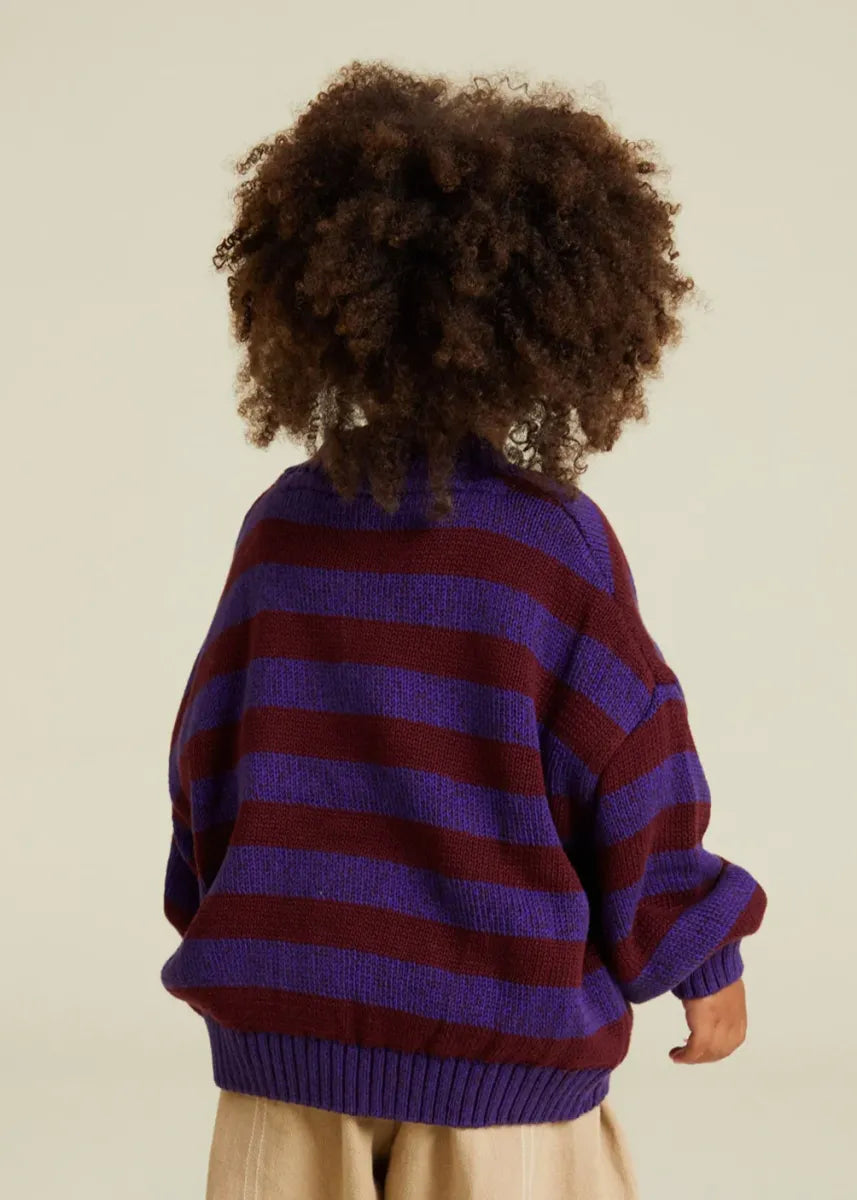 Eben Purple Stripe Cardigan