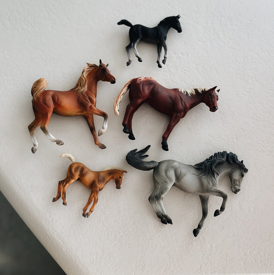 HORSES GIFT SET - set van 5