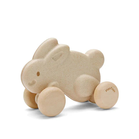 PUSH ALONG - BUNNY