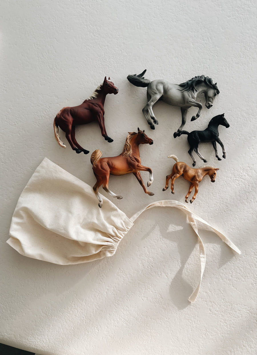 HORSES GIFT SET - set van 5