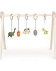 ACTIVITY TOY SET (5 stk) - DINO'S