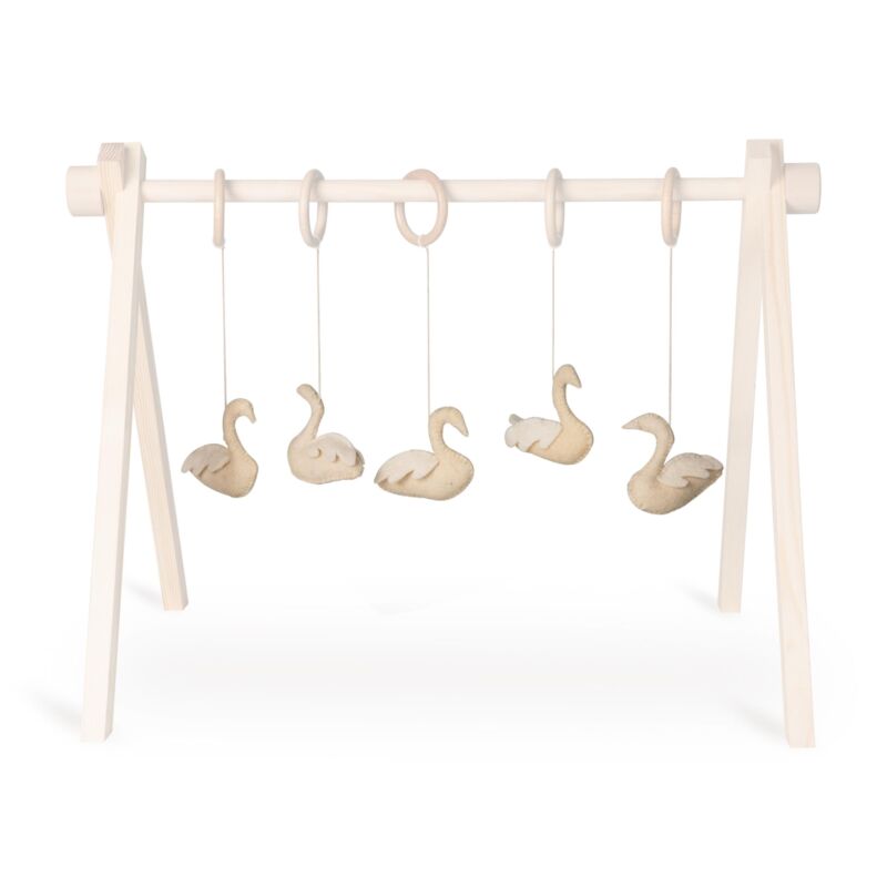ACTIVITY TOY SET (5 stk) - zwaan