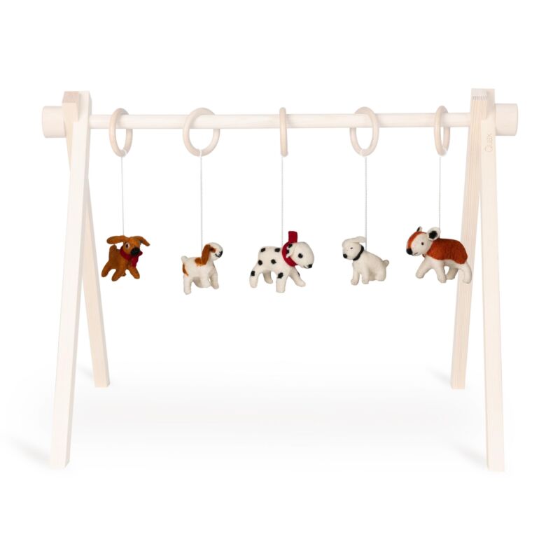 ACTIVITY TOY SET (5 stk) - dogs