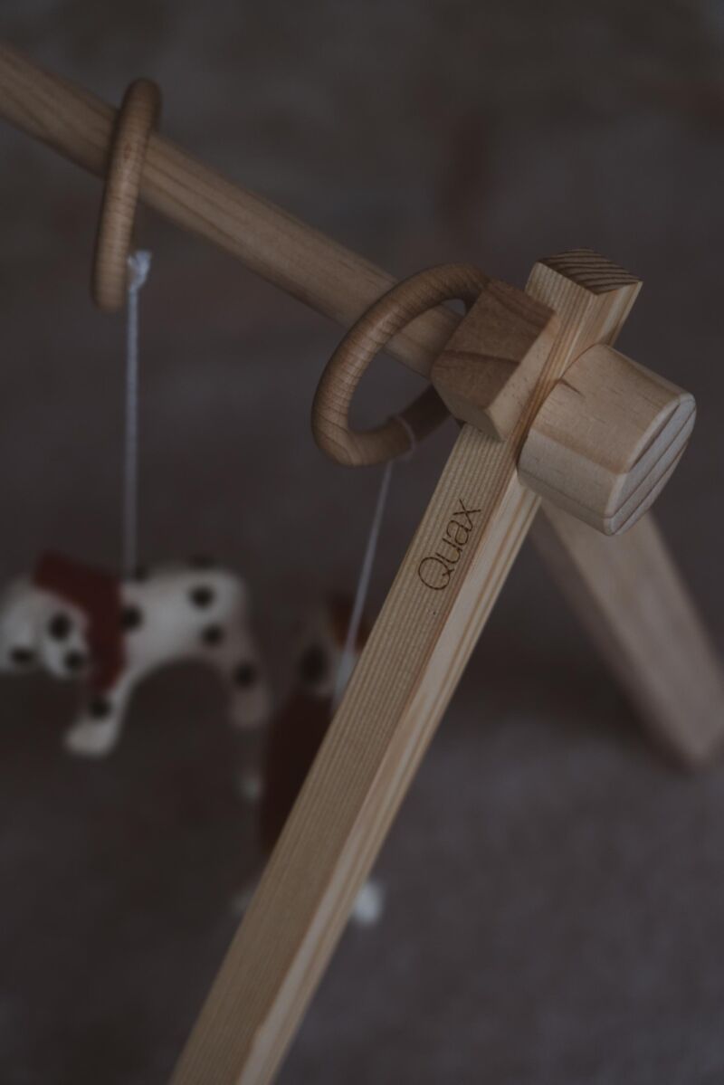 BABY GYM - without toys