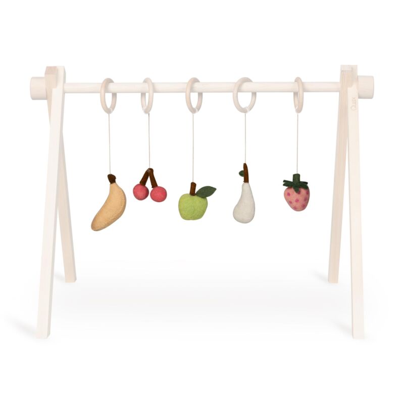 ACTIVITY TOY SET (5 stk) - fruit