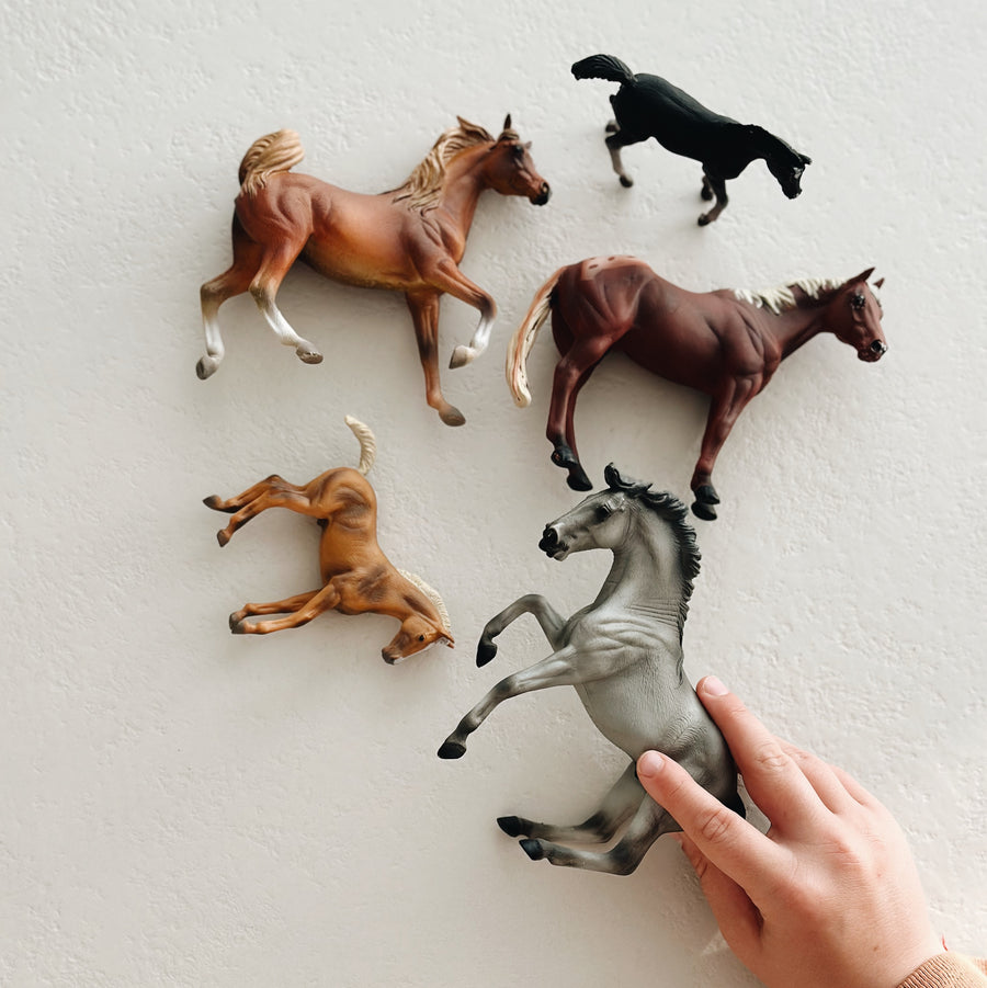 HORSES GIFT SET - set van 5