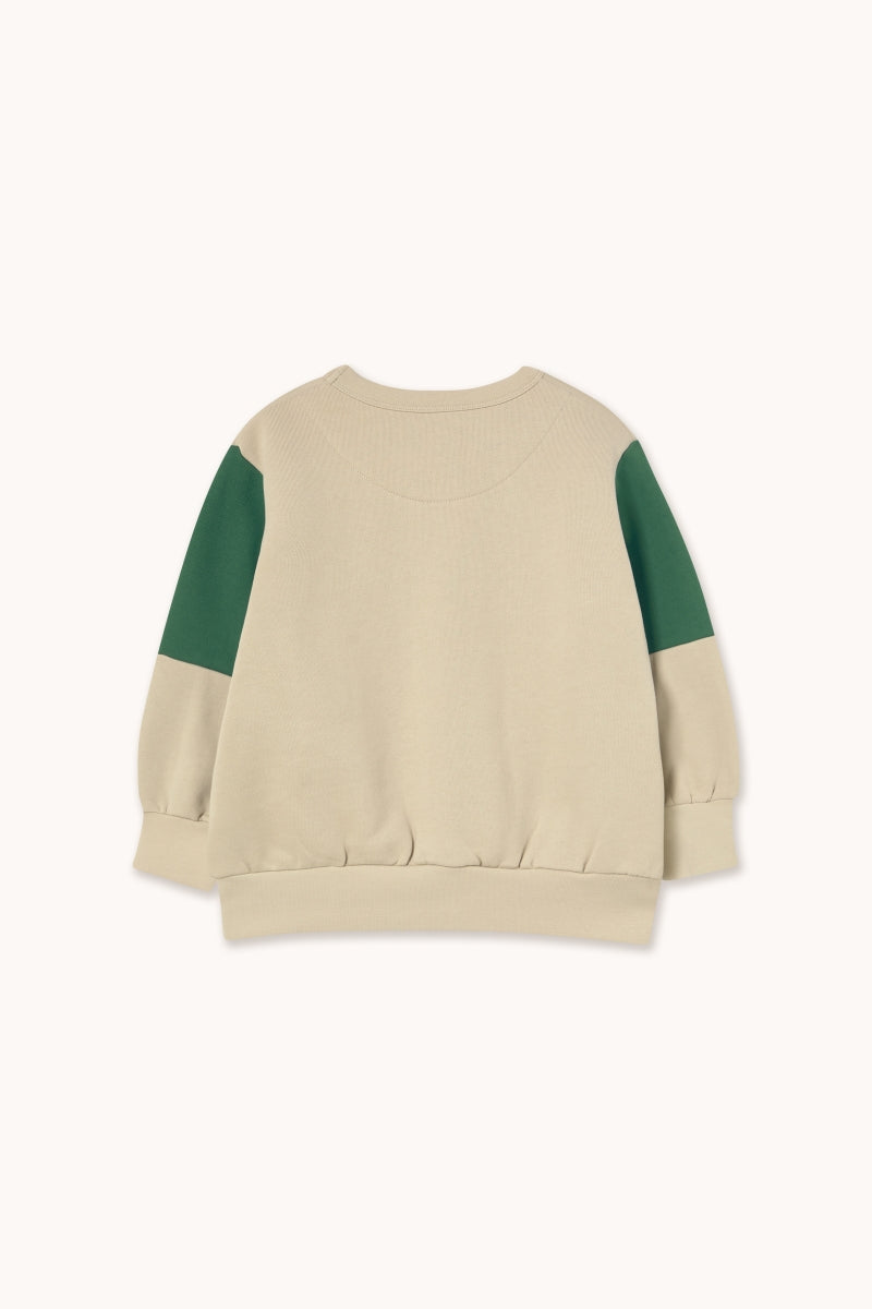 Tiny Color Block Sweatshirt - green