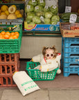 SNUGGLE SUIT - binibamba x bobo choses