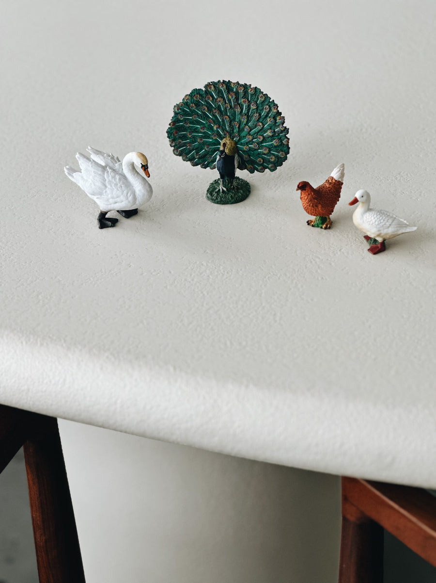 BIRDS GIFT SET - set van 4