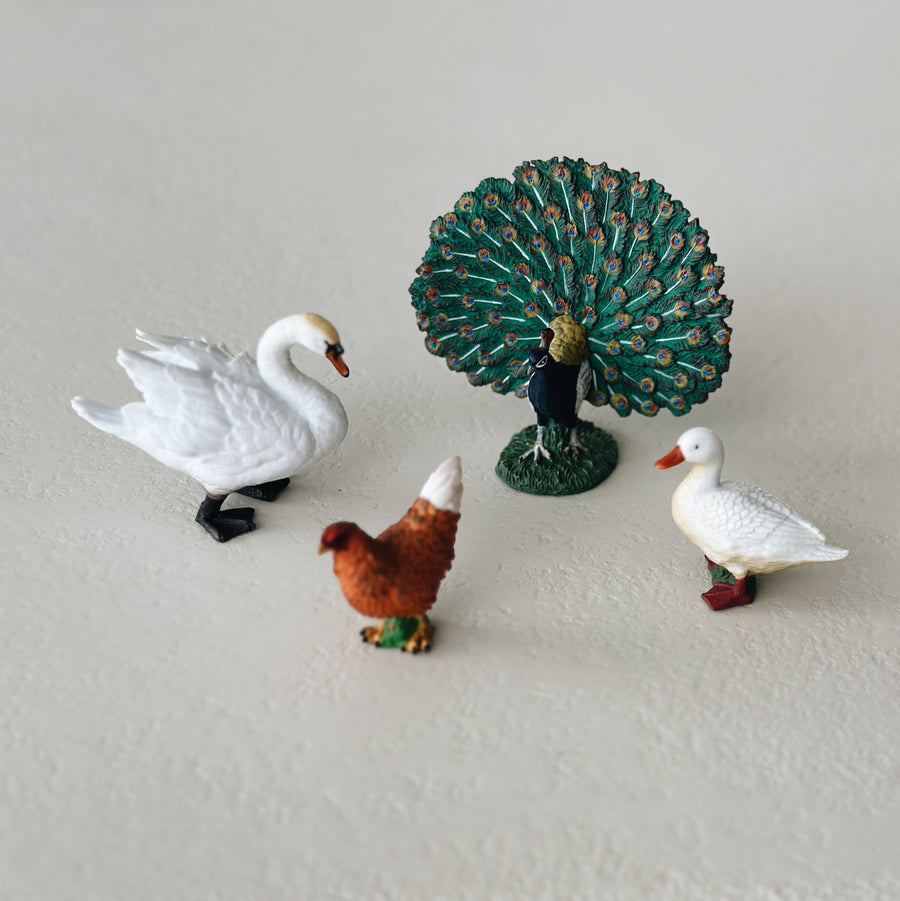 BIRDS GIFT SET - set van 4