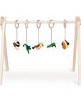 ACTIVITY TOY SET (5 stk) - vogels