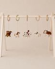 ACTIVITY TOY SET (5 stk) - dogs