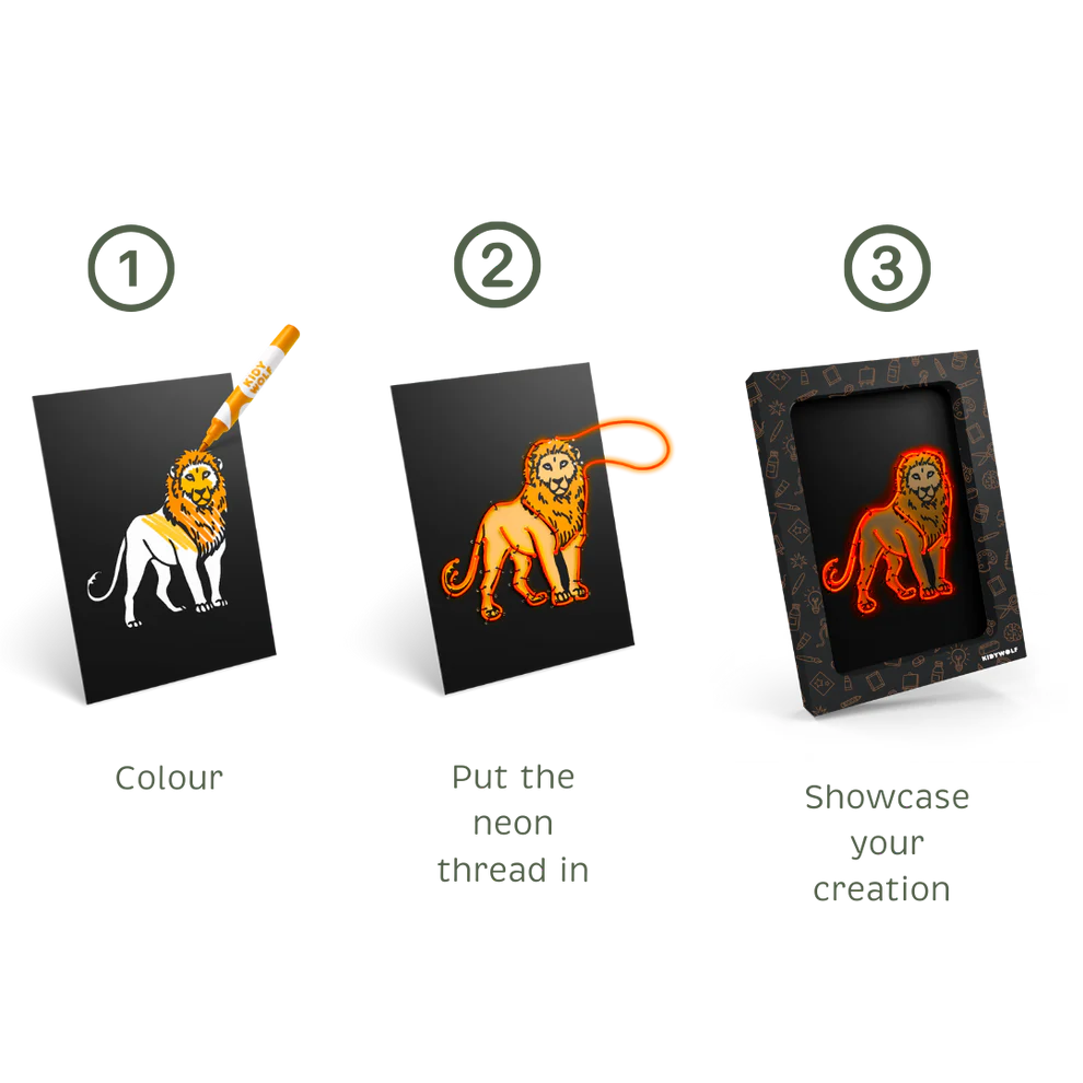 KIDYNEON Creatieve Neon Set – Dieren