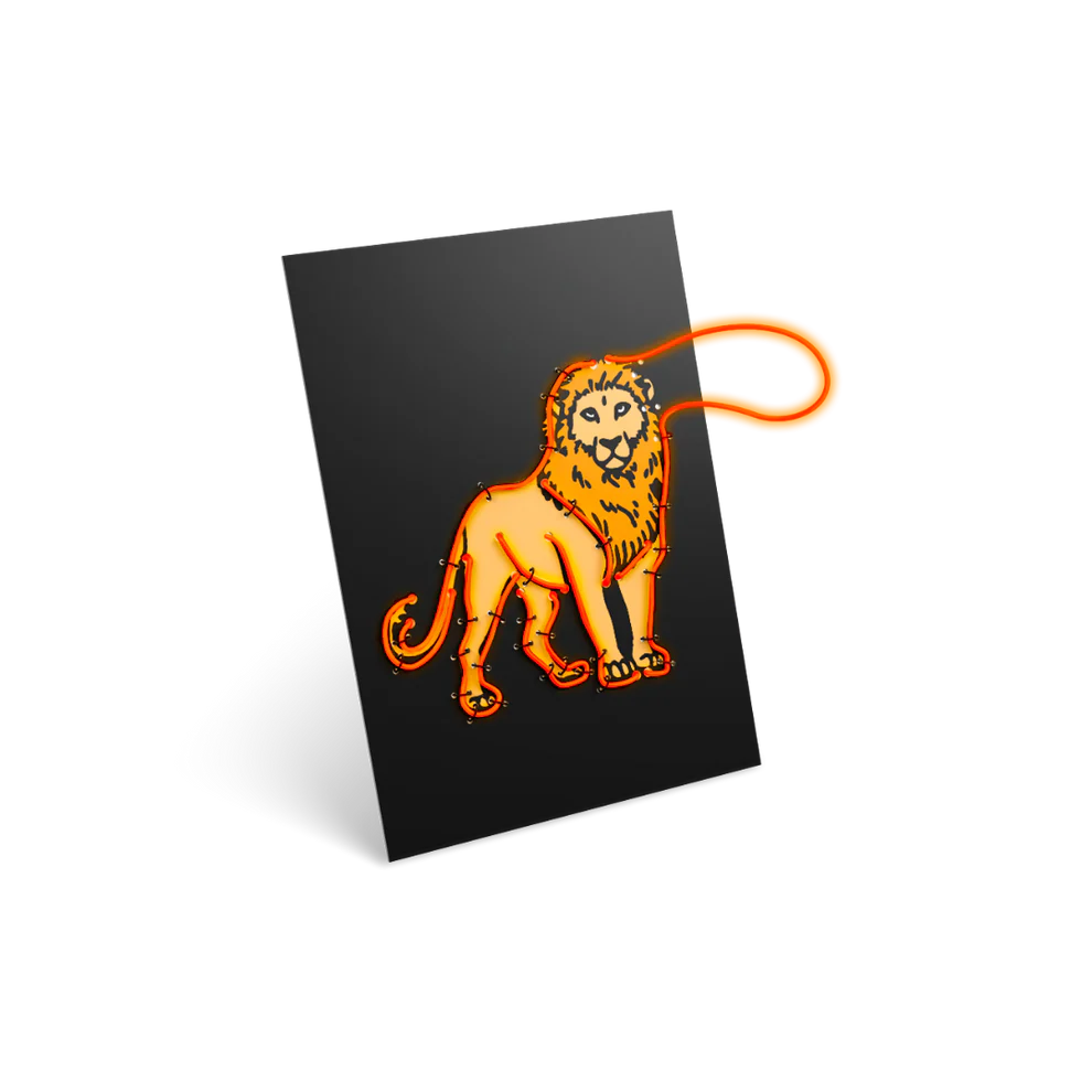 KIDYNEON Creatieve Neon Set – Dieren