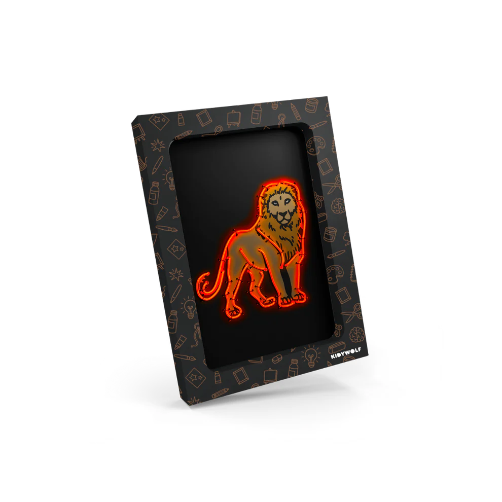 KIDYNEON Creatieve Neon Set – Dieren