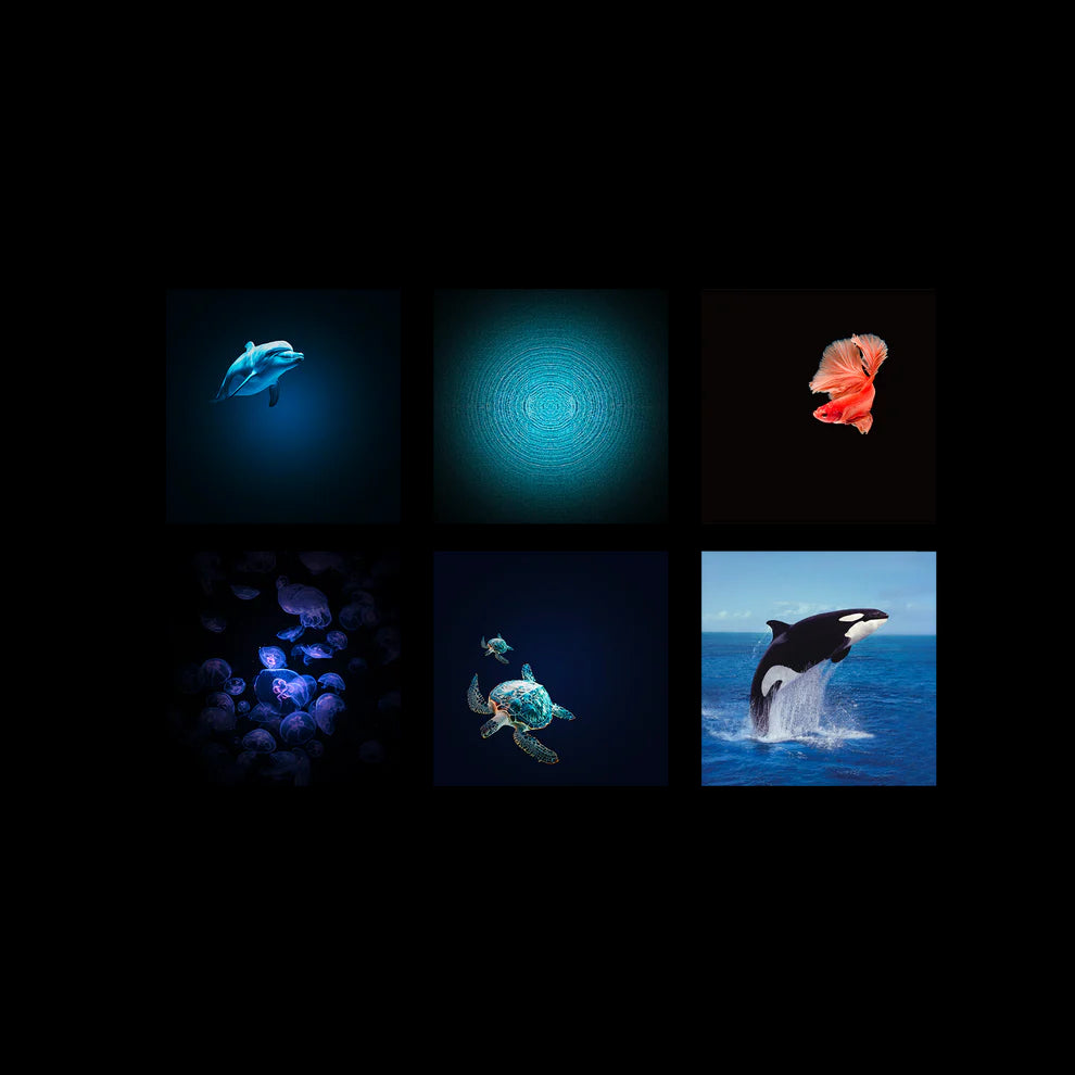 KIDYSTAR – Betoverende projector ZEE