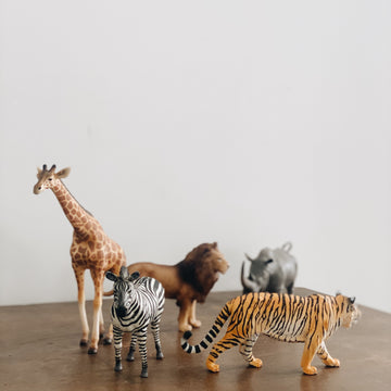 WILDLIFE GIFT SET - set van 5